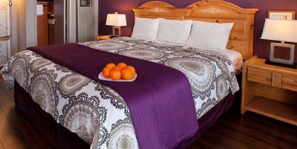 Aviva Inn Tahoe City Cameră foto